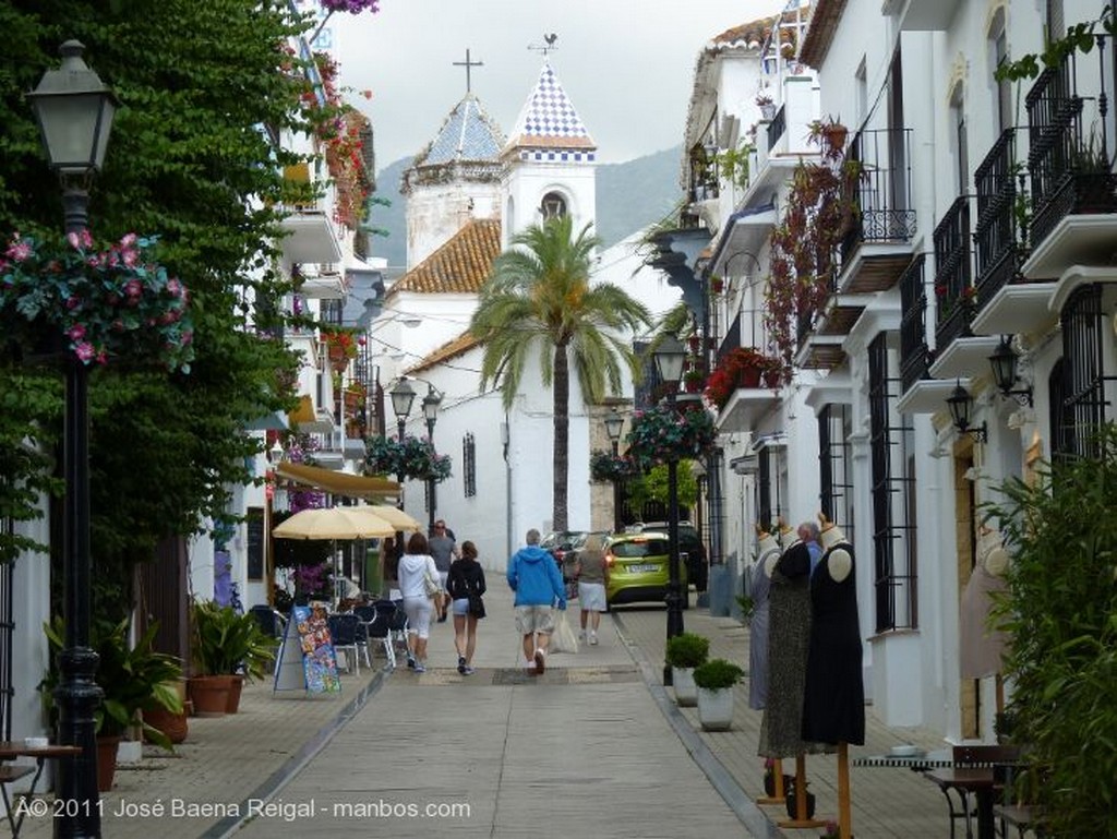 Marbella
Plantas trepadoras
Malaga