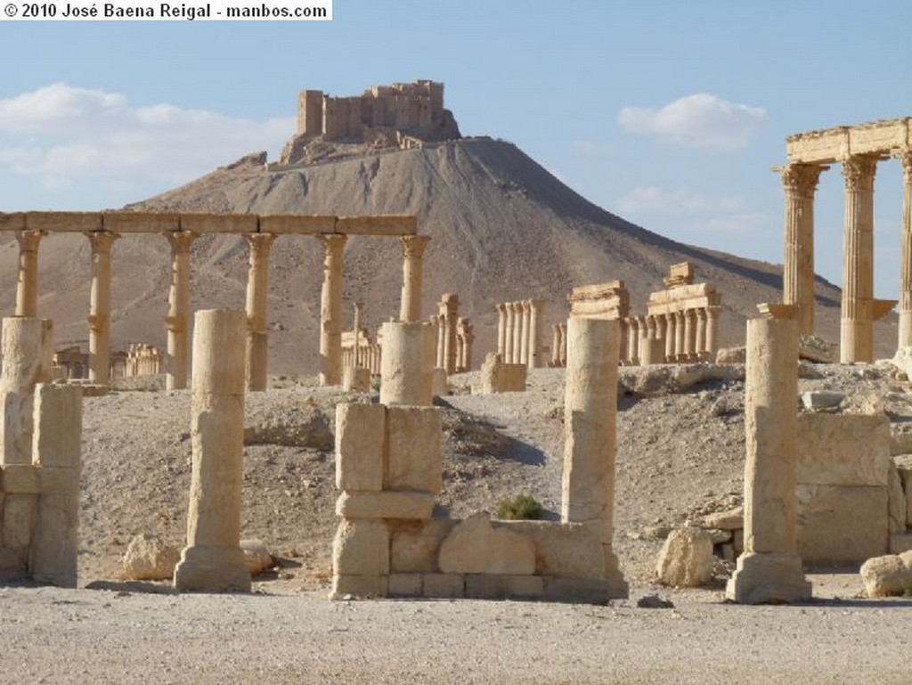 Palmira
El Tetrapilo desde el Agora
Tadmor