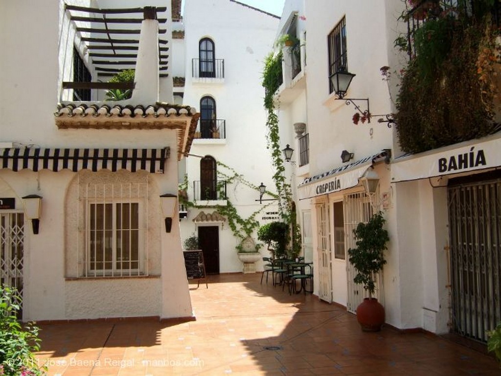 Torremolinos
Bouganvilla y fuente
Malaga