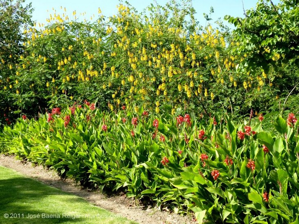 Benalmadena
Milagro floral 
Malaga