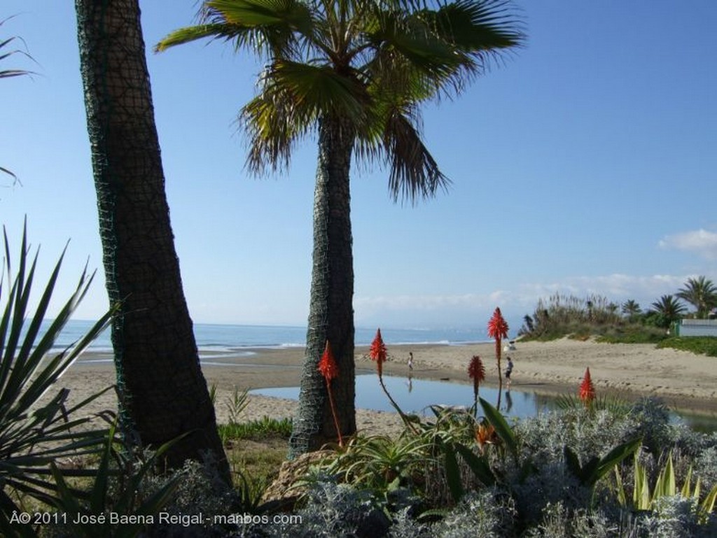 Marbella
Estela dorada
Malaga