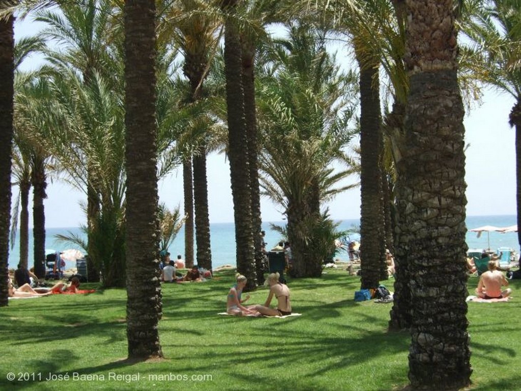 Torremolinos
El Junco Chino
Malaga