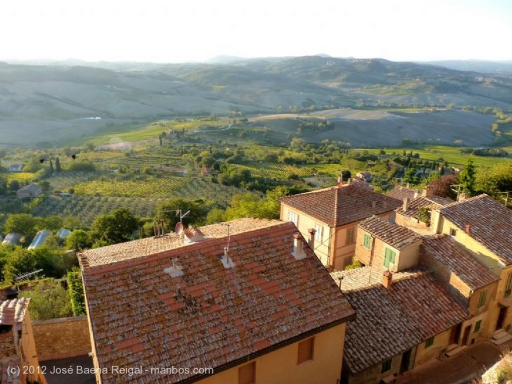 Montepulciano
Vides y olivos
Siena