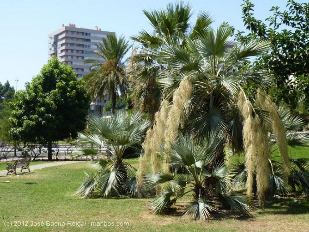 Malaga
Modernas urbanizaciones
Malaga