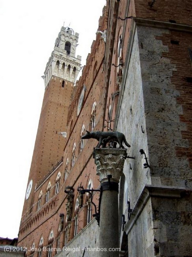 Siena
Fachadas medievales
Toscana