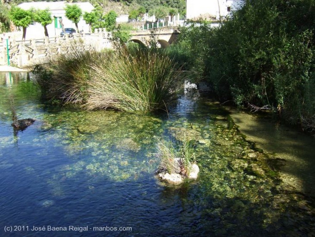 Valle del Genal
Donde brota el Genal
Malaga