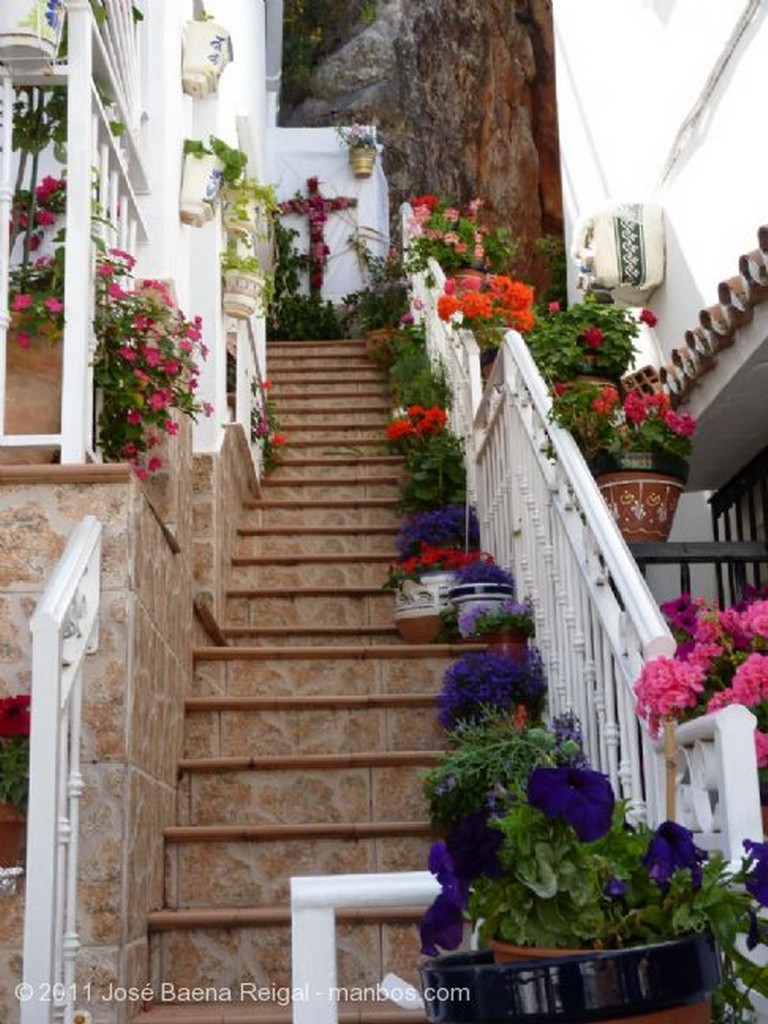 Mijas
Reja con geranios
Malaga