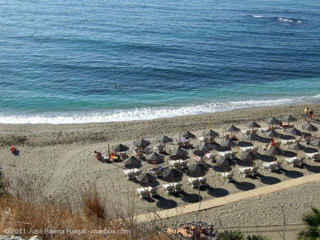 Benalmadena
Palmeras
Malaga