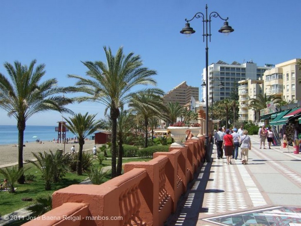 Benalmadena
Flores tropicales
Malaga