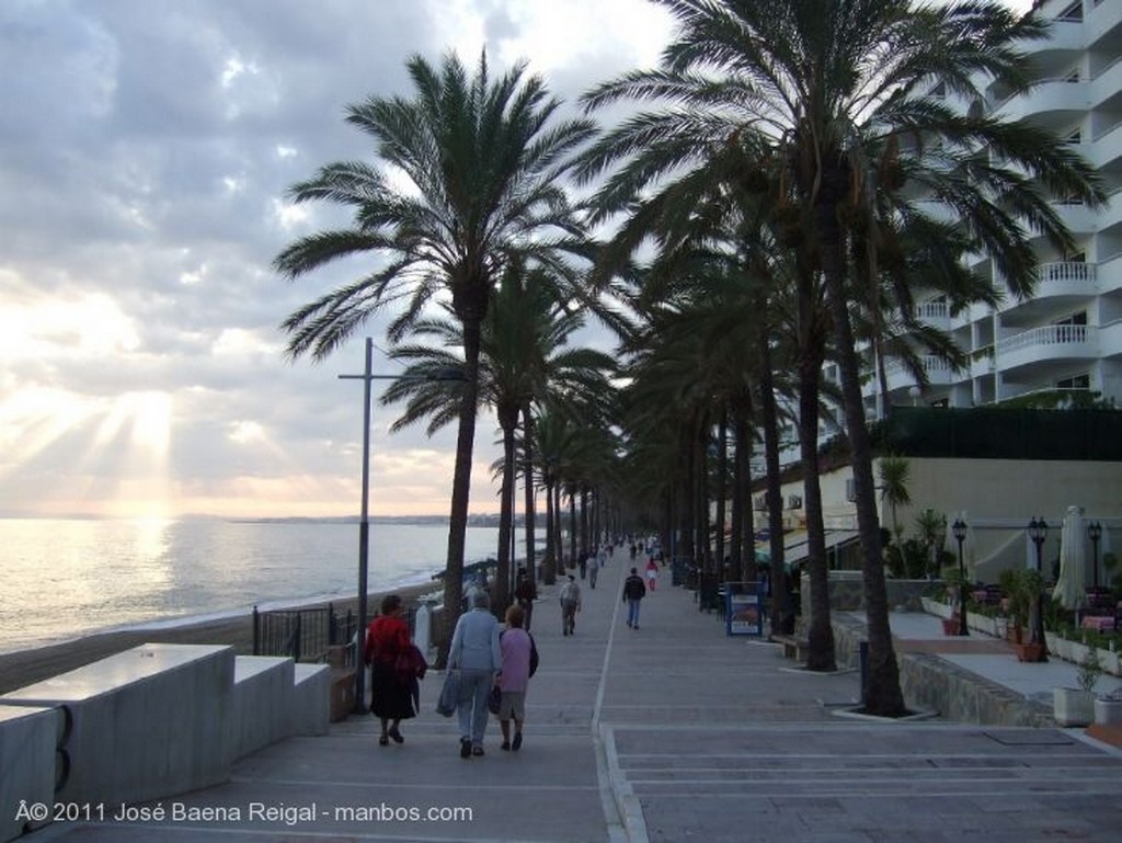 Marbella
Palmera y mar
Malaga