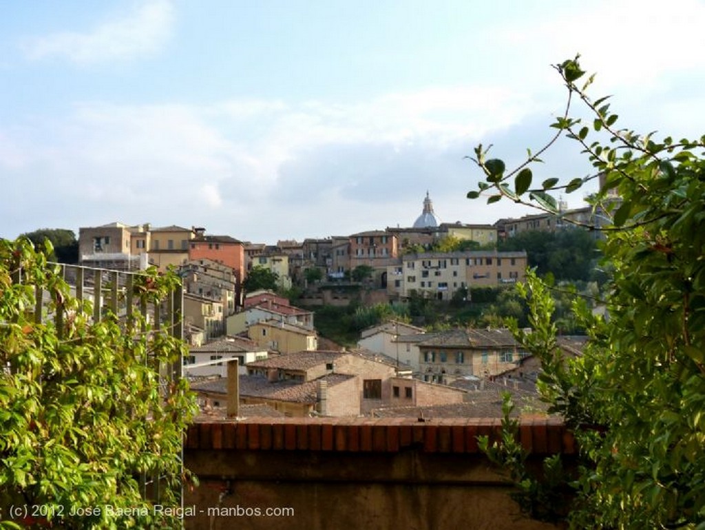 Siena
Roseton central
Toscana