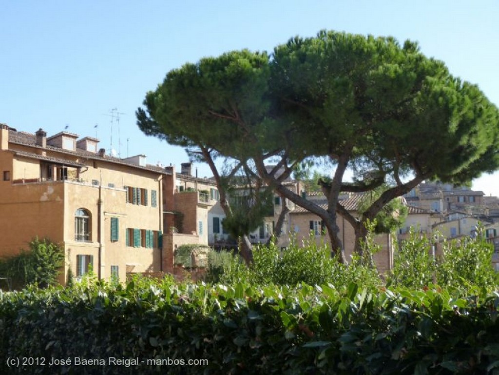 Siena
Urbanismo controlado
Toscana