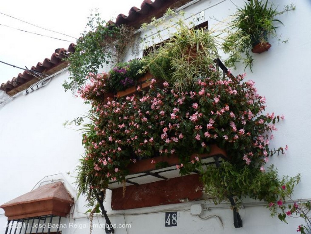 Marbella
Casas encaladas
Malaga