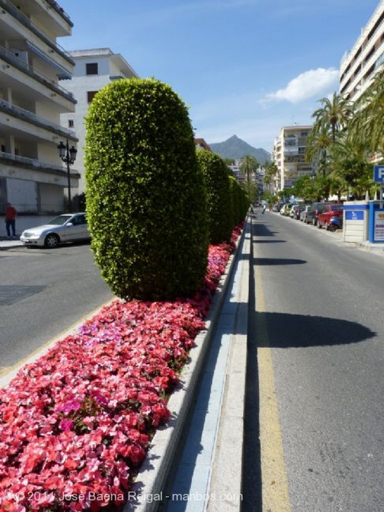 Marbella
Perspectiva urbana
Malaga