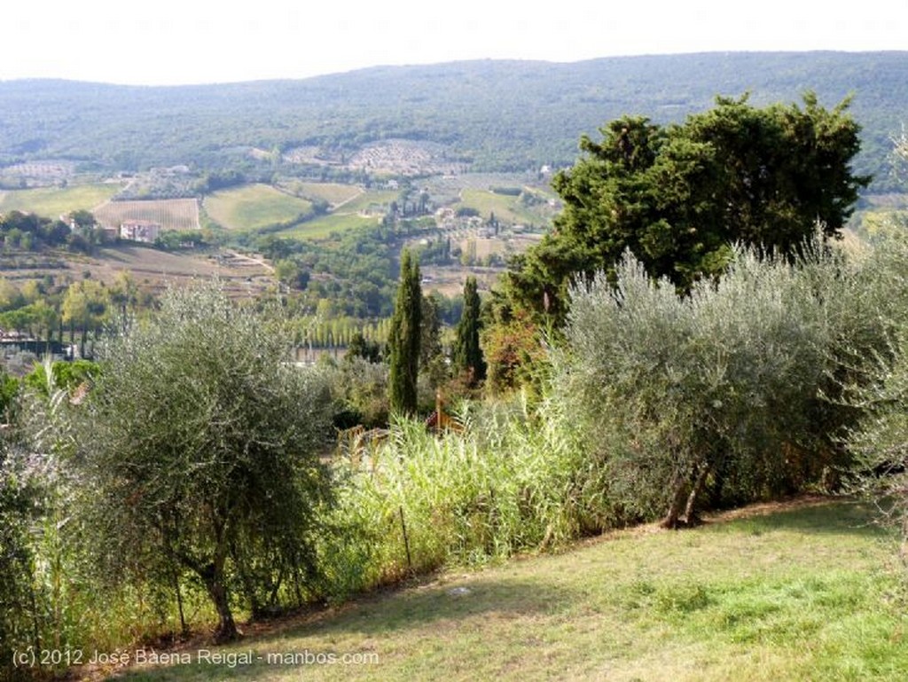 San Gimignano
Ensalada parmesana y blanco vernaccio
Siena