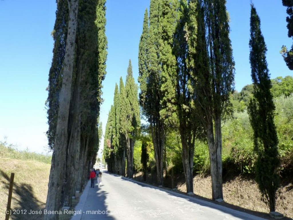 Montepulciano
Arte y naturaleza
Siena