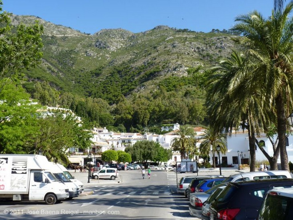 Mijas
Gimnasio Municipal
Malaga