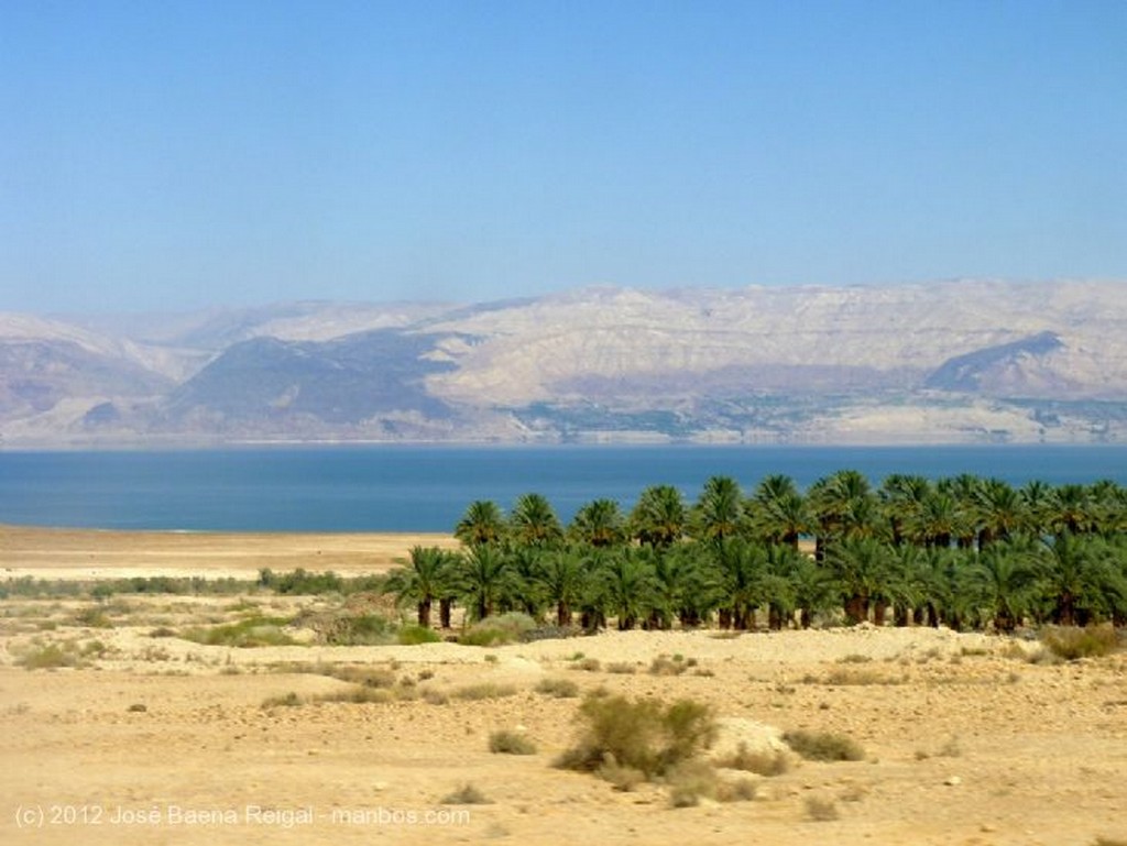 Masada
Palmeral
Distrito Meridional