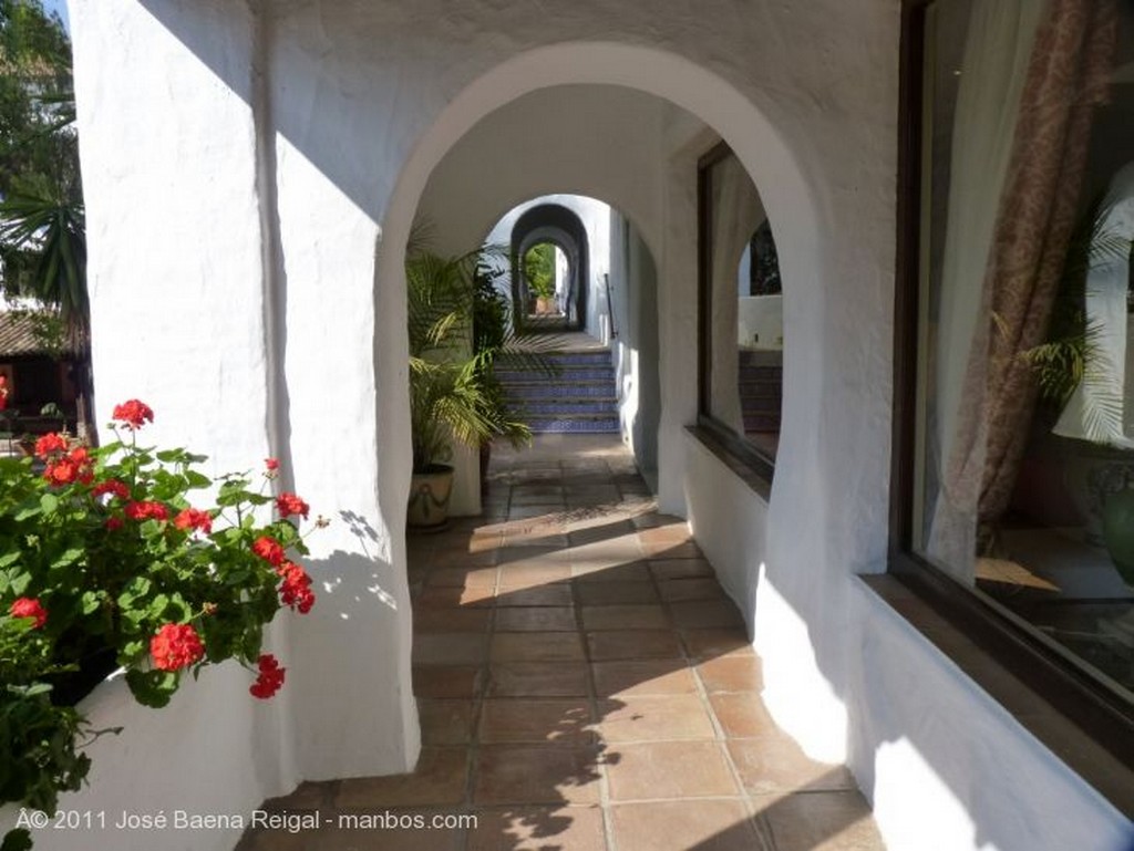 Marbella
Surtidor de azulejos
Malaga