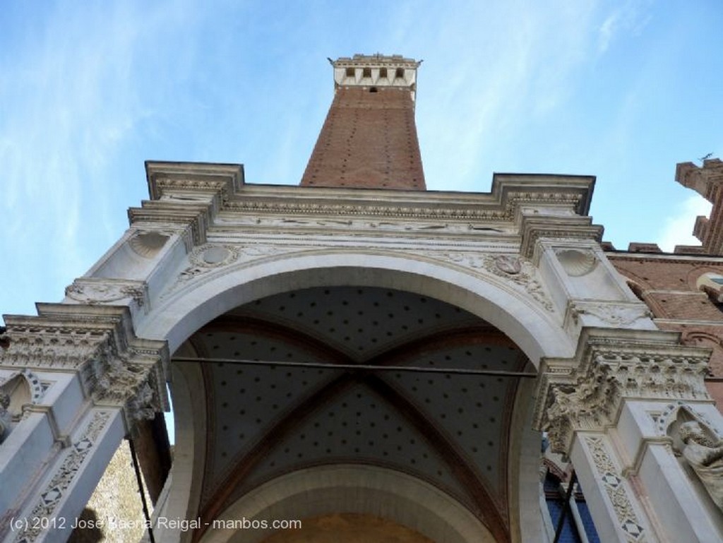 Siena
A contraluz
Toscana