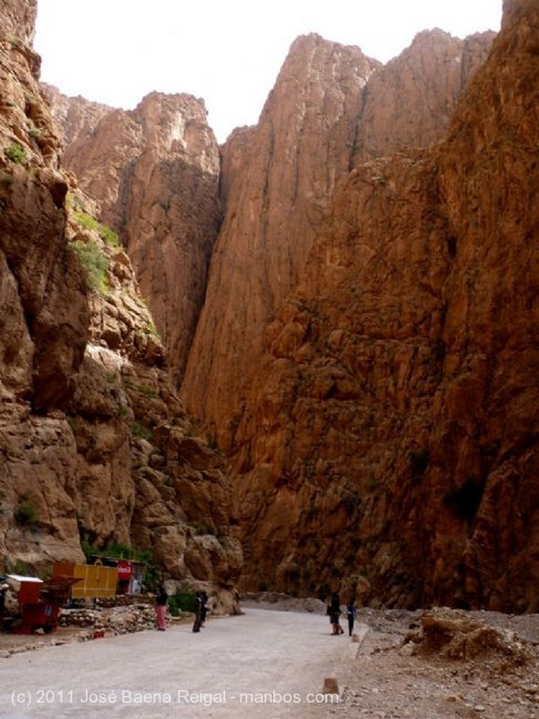 Gargantas del Todra
Palmeras, olivos y frutales 
Ouarzazate