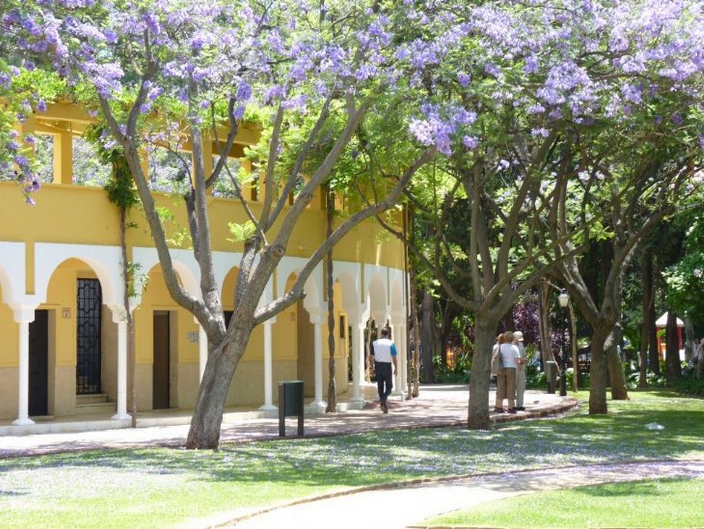 Marbella
Clacisismo
Malaga