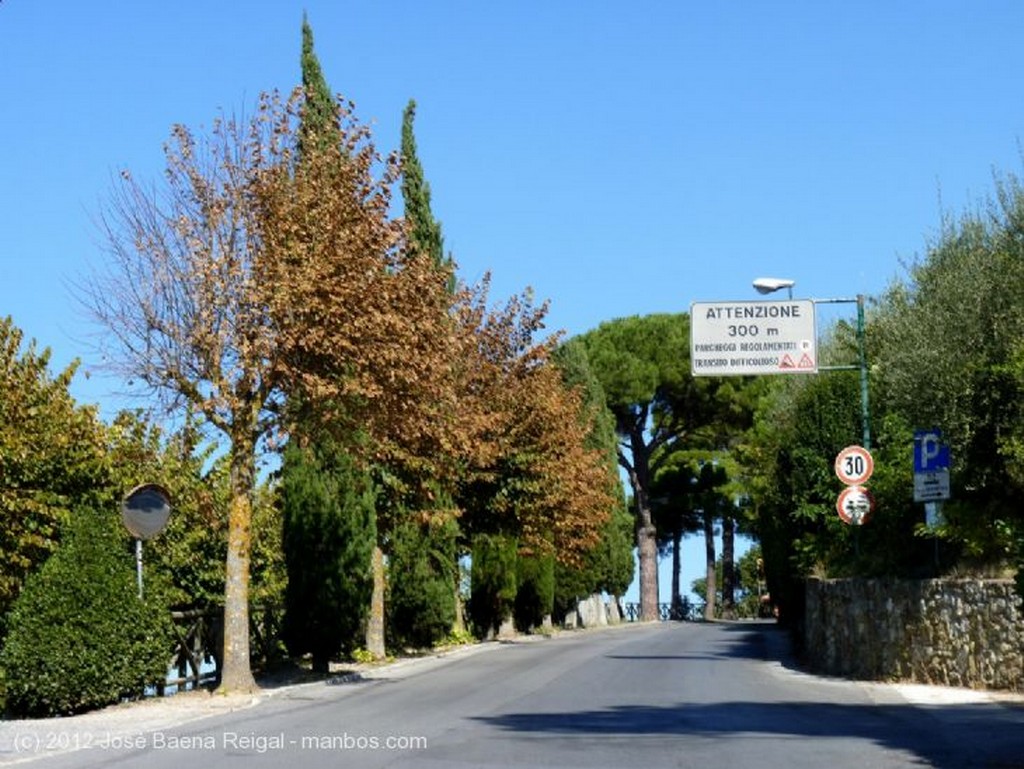 Montepulciano
Celajes
Siena