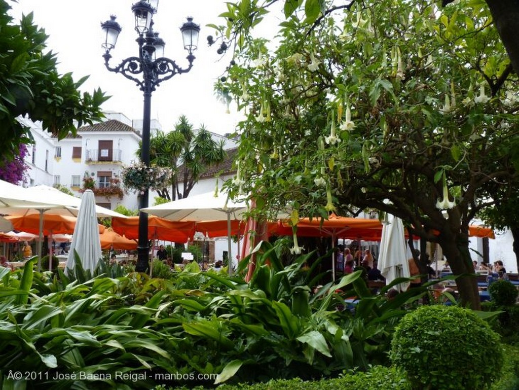 Marbella
Calles para perderse
Malaga