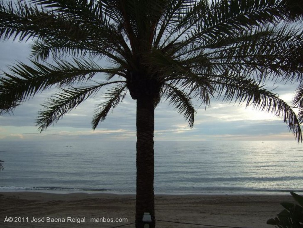 Marbella
Darsena del puerto
Malaga