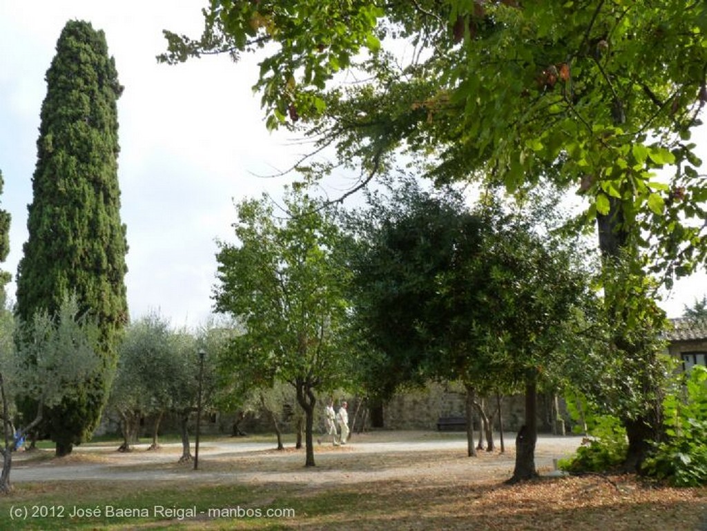 San Gimignano
Dos tonos de verde
Siena