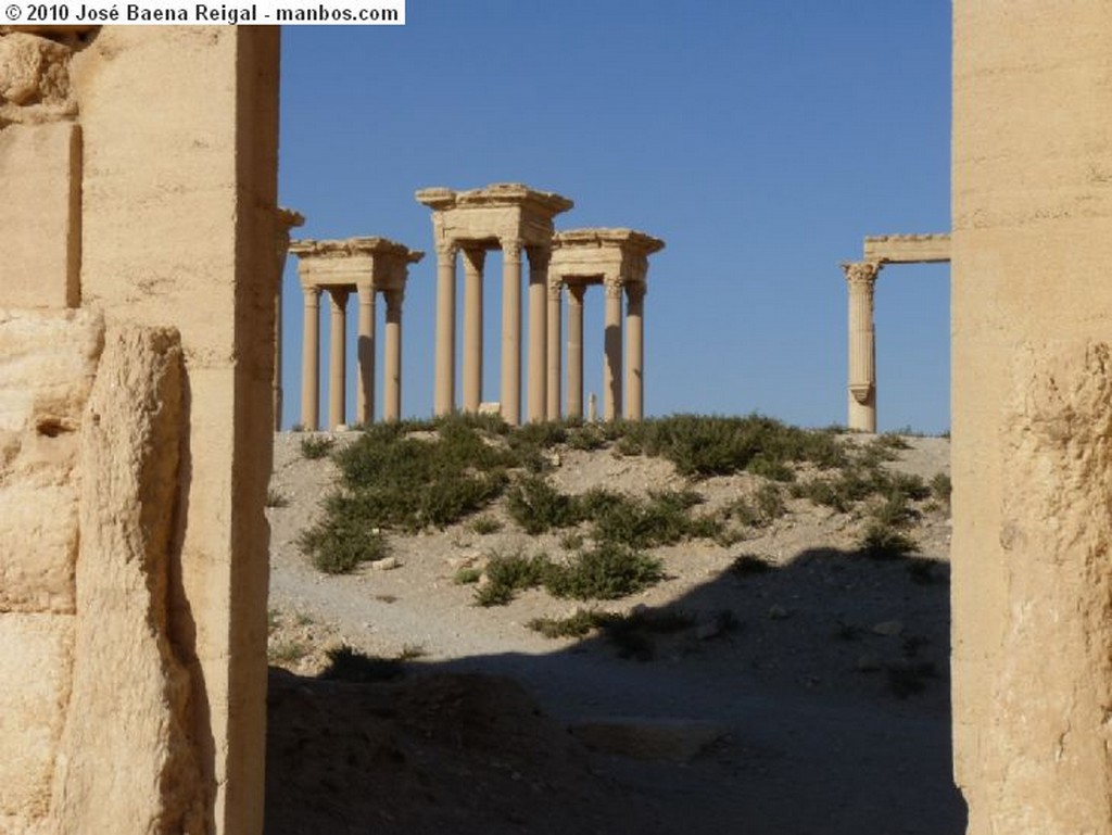 Palmira
La Historia enterrada
Tadmor