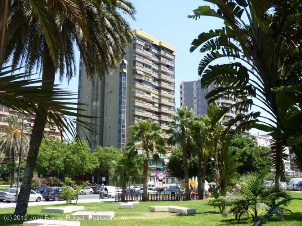 Malaga
Monumento vegetal
Malaga