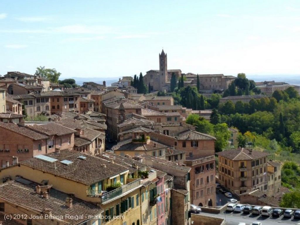 Siena
Artesonado
Toscana