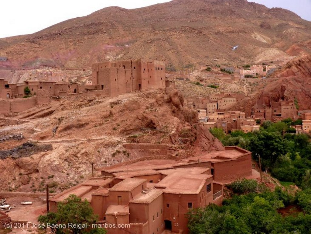 Gargantas del Dades
Casas aterrazadas
Alto Atlas