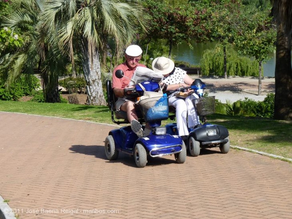 Benalmadena
Cabeza sobre la hierba
Malaga