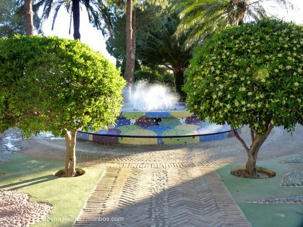 Mijas
Arbustos en flor
Malaga