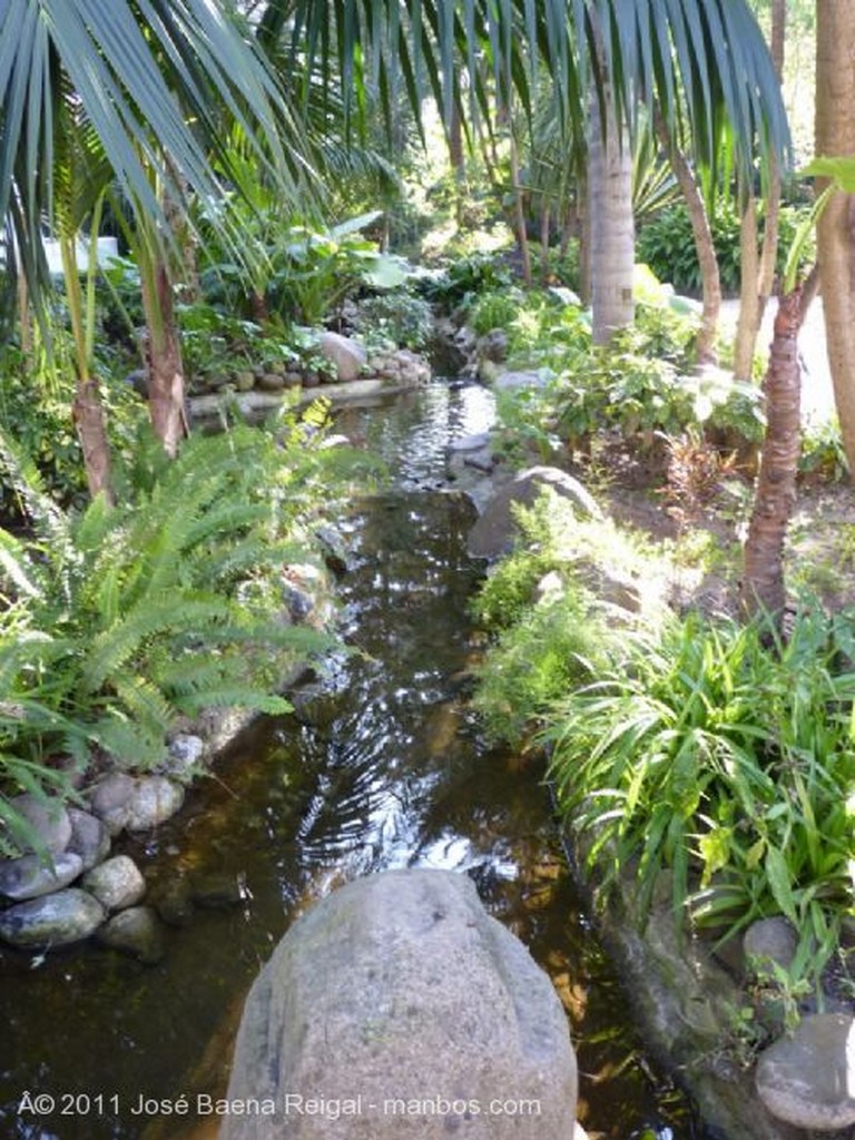 Marbella
Fuente
Malaga