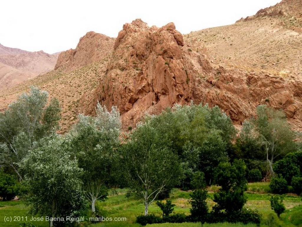 Gargantas del Dades
Cultivos entre las rocas
Alto Atlas