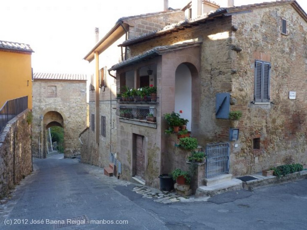 Montepulciano
Arboledas perdidas
Siena