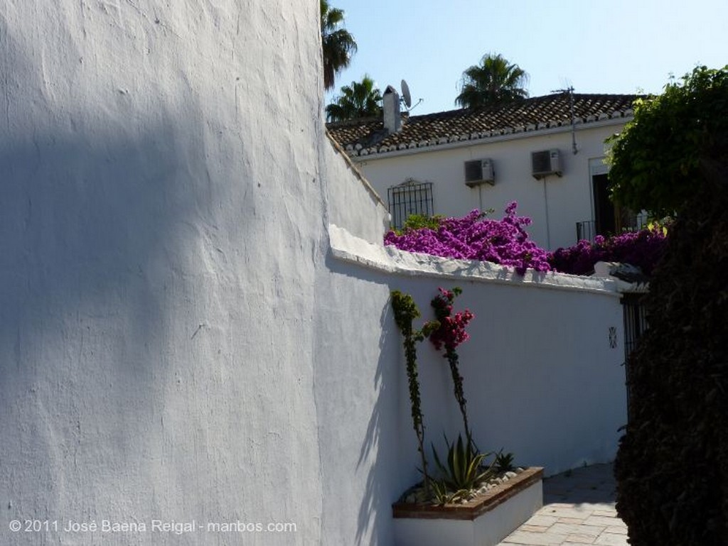 Fuengirola
Tapia y buganvilla
Malaga