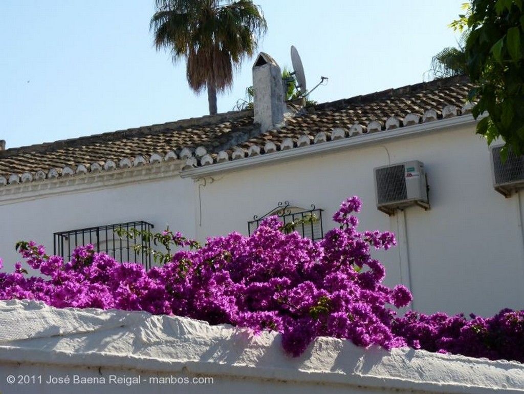 Fuengirola
Tapia y buganvilla
Malaga