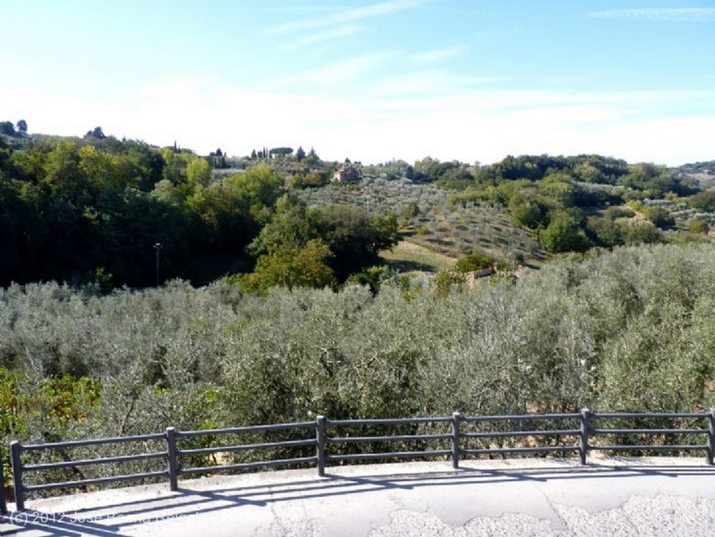 Montepulciano
Muro y cipreses
Siena