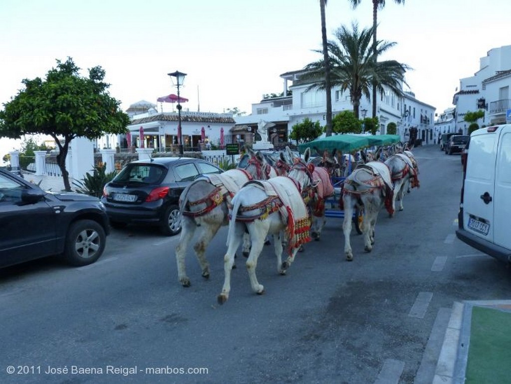 Mijas
Burrotaxis
Malaga