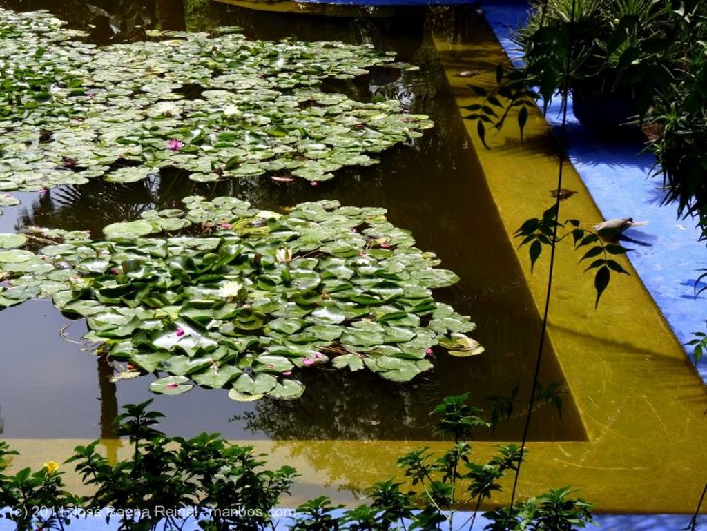 Marrakech
Jardin del Paraiso
Marrakech