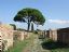 Ostia Antica
Ladrillos y pinos
Roma