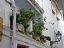 Marbella
Balcon escondido
Malaga