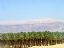 Masada
Palmeral
Distrito Meridional