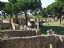 Ostia Antica
Horizonte de ruinas
Roma