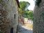 San Gimignano
Muros y pinos
Siena