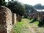 Ostia Antica
Camino entre ruinas
Roma